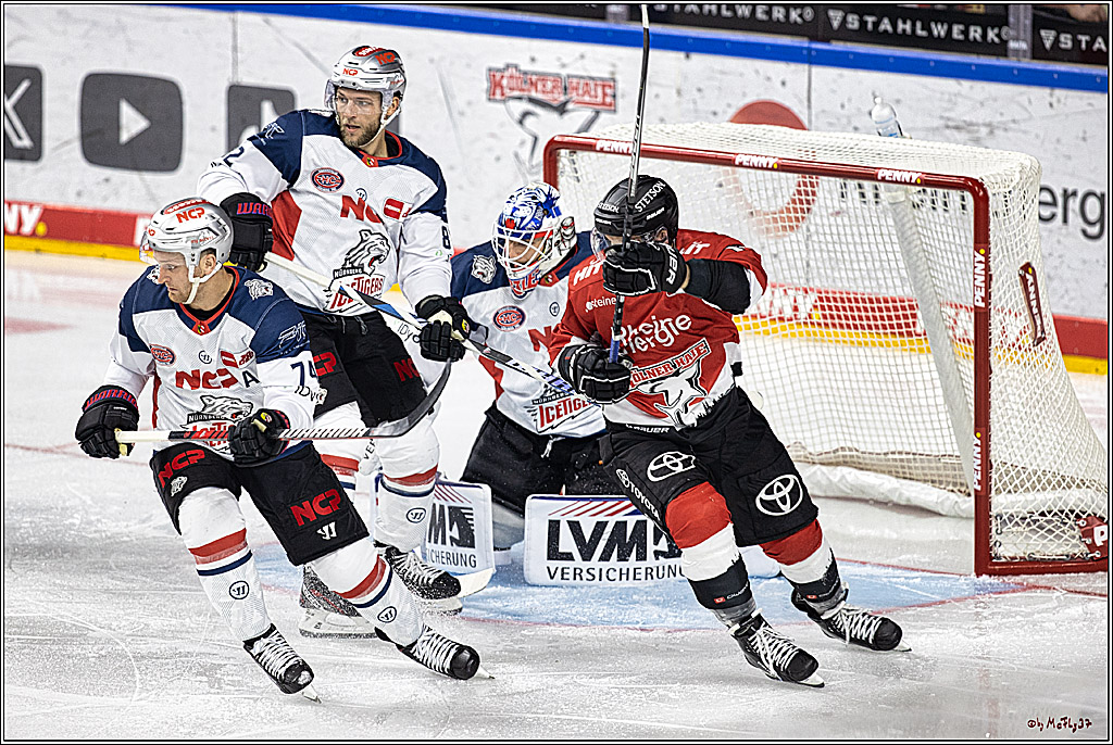 PENNY DEL 1. Koelner Haie - Nuernberg Ice Tigers; Koeln, 15.09.2023