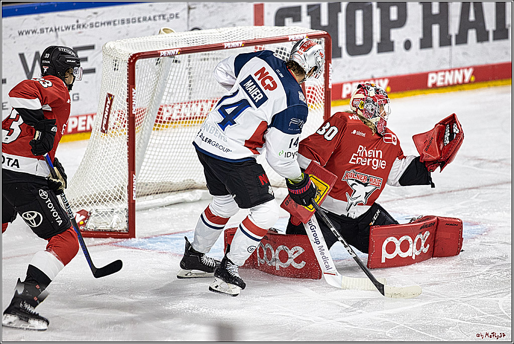 PENNY DEL 1. Koelner Haie - Nuernberg Ice Tigers; Koeln, 15.09.2023
