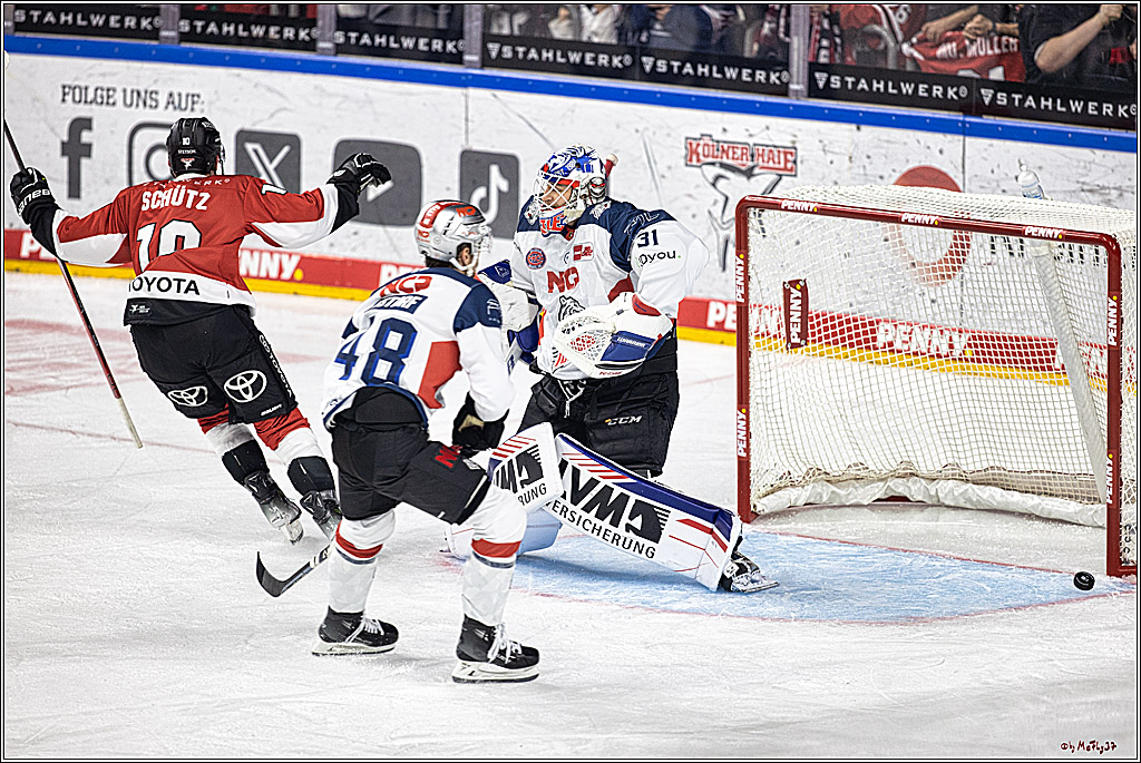 PENNY DEL 1. Koelner Haie - Nuernberg Ice Tigers; Koeln, 15.09.2023