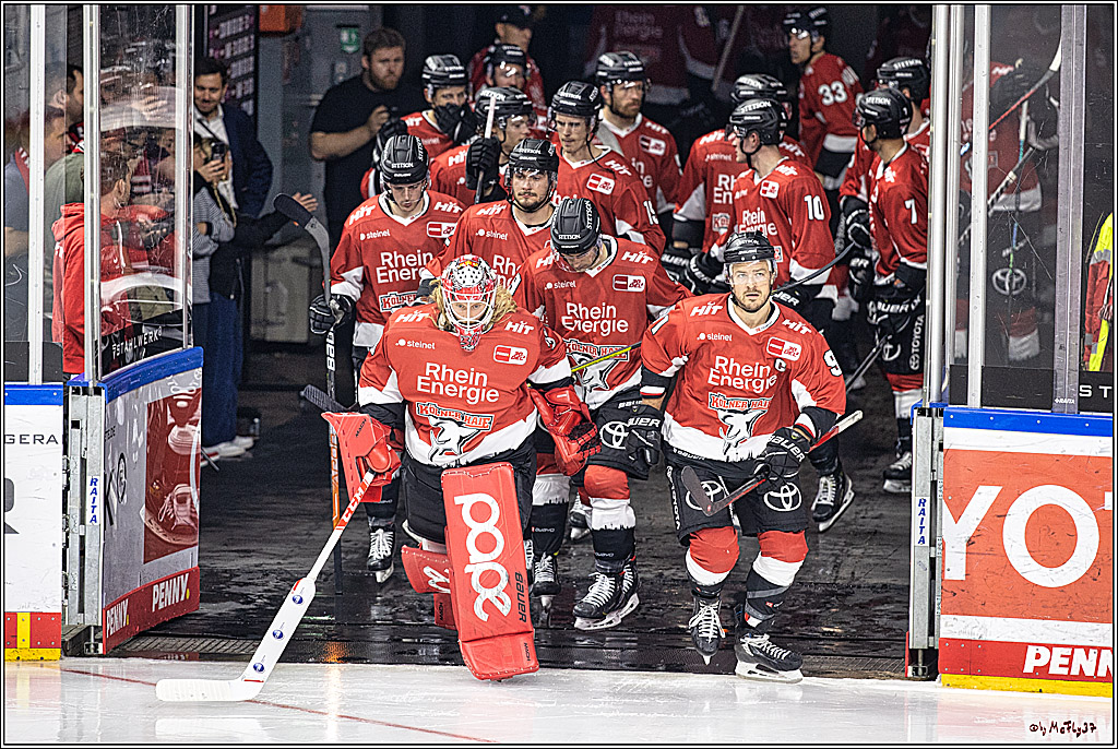 PENNY DEL 1. Koelner Haie - Nuernberg Ice Tigers; Koeln, 15.09.2023
