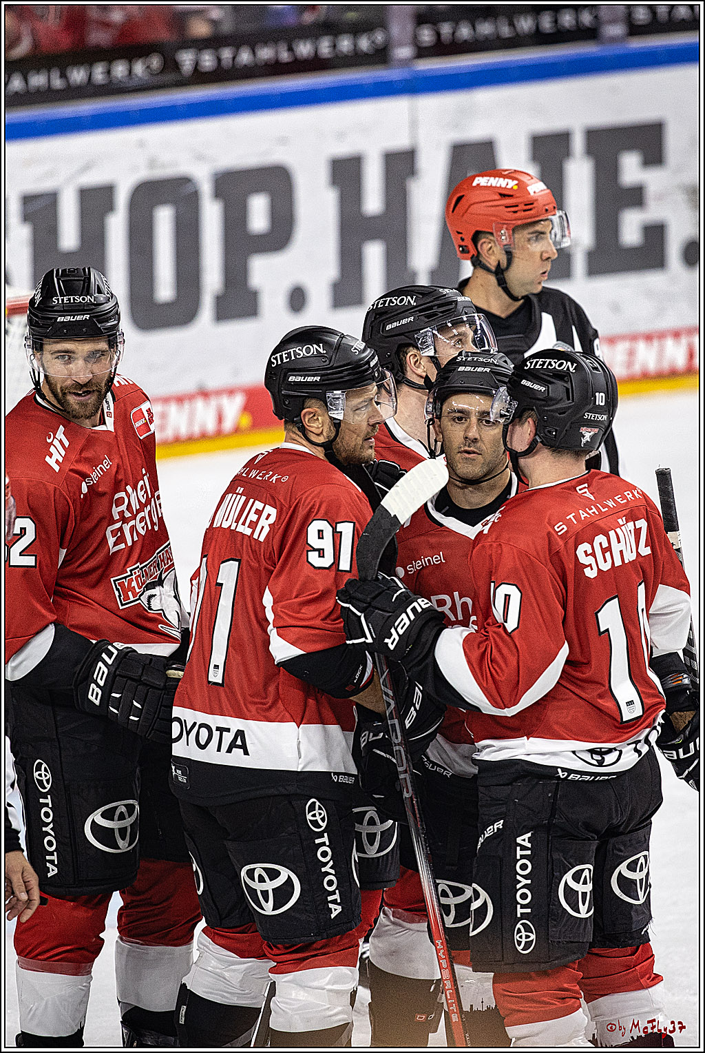 PENNY DEL 1. Koelner Haie - Nuernberg Ice Tigers; Koeln, 15.09.2023