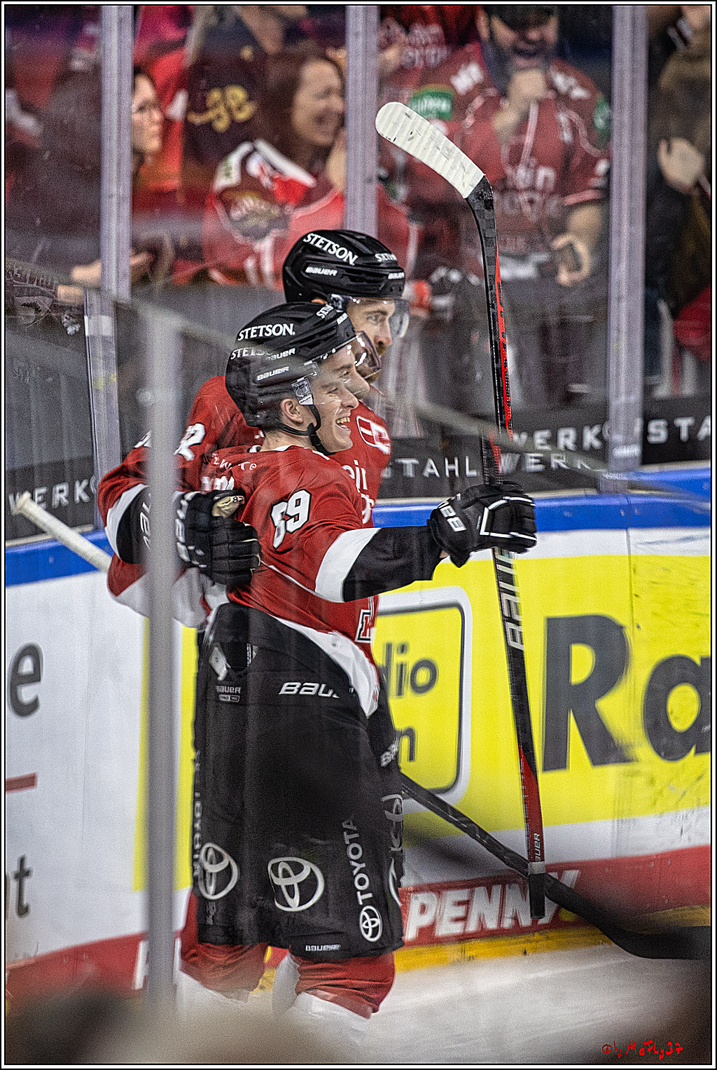 PENNY DEL 1. Koelner Haie - Nuernberg Ice Tigers; Koeln, 15.09.2023