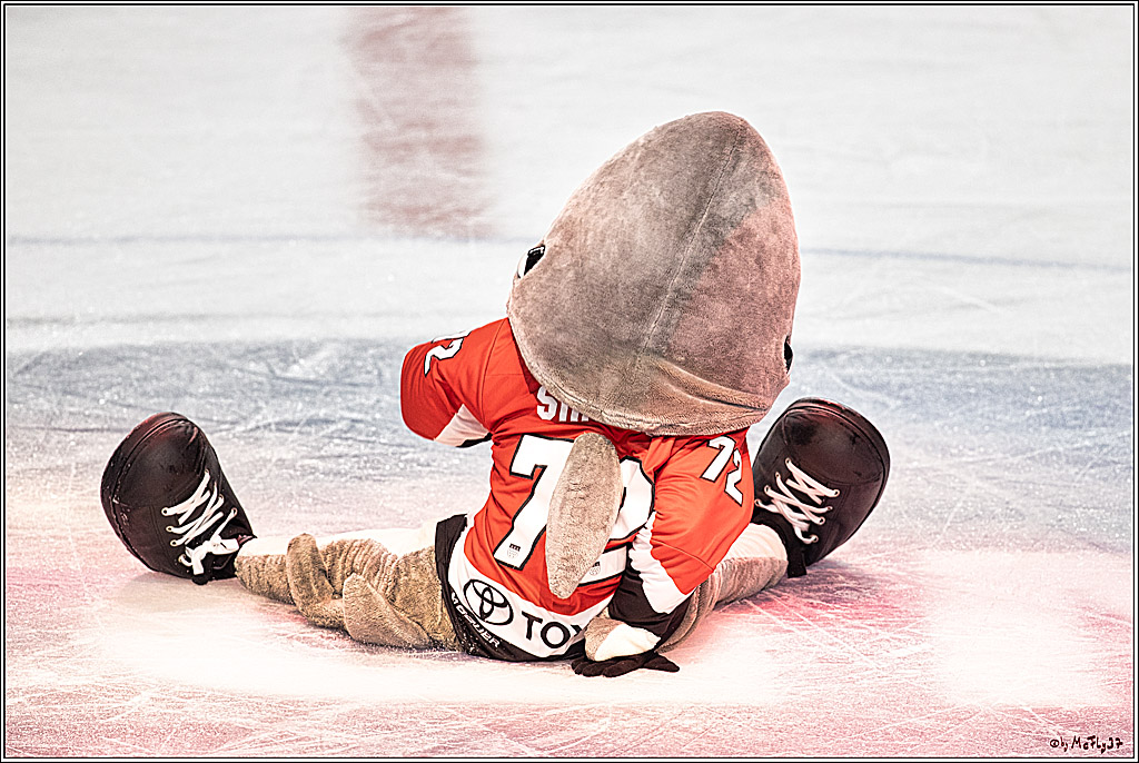 PENNY DEL 1. Koelner Haie - Nuernberg Ice Tigers; Koeln, 15.09.2023