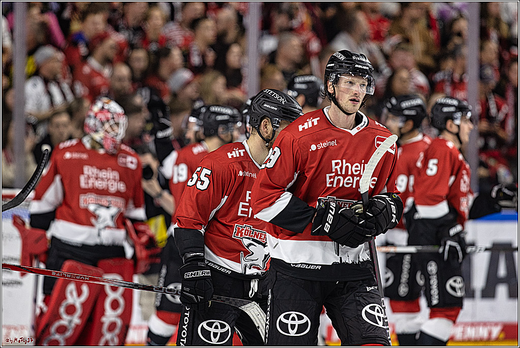 PENNY DEL 1. Koelner Haie - Nuernberg Ice Tigers; Koeln, 15.09.2023