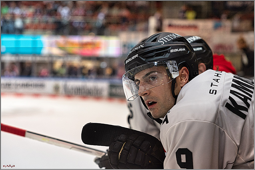 PENNY DEL 1 Iserlohn Roosters - Koelner Haie; Koeln, 28.09.2023