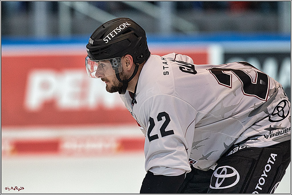 PENNY DEL 1 Iserlohn Roosters - Koelner Haie; Koeln, 28.09.2023