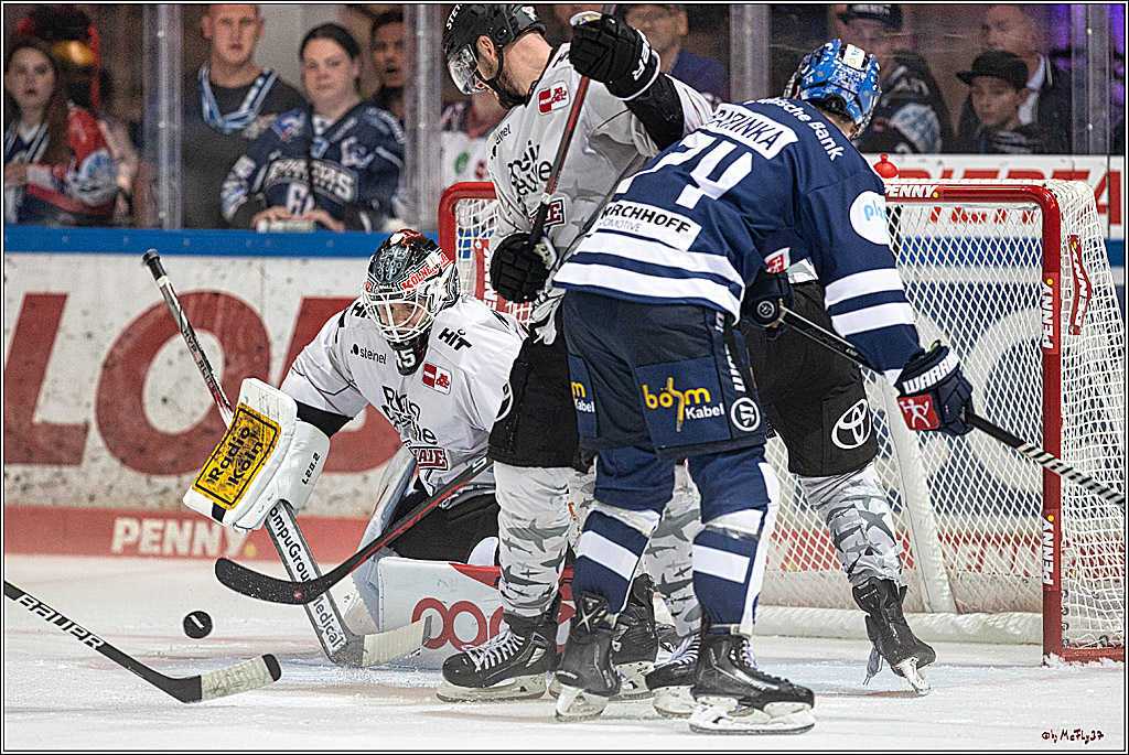 PENNY DEL 1 Iserlohn Roosters - Koelner Haie; Koeln, 28.09.2023
