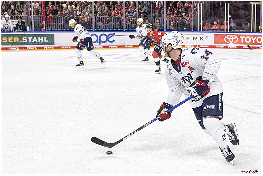 PENNY DEL 1. Koelner Haie - Adler Mannheim; Koeln, 30.09.2023