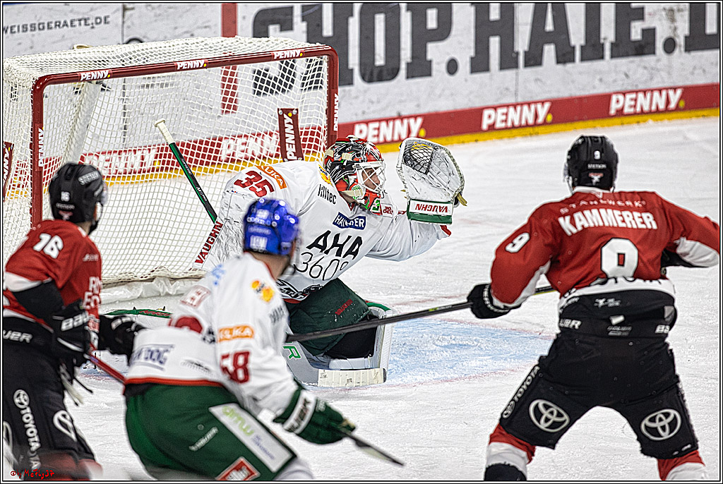 PENNY DEL 1. Koelner Haie - Augsburger Panther; Koeln, 03.10.2023