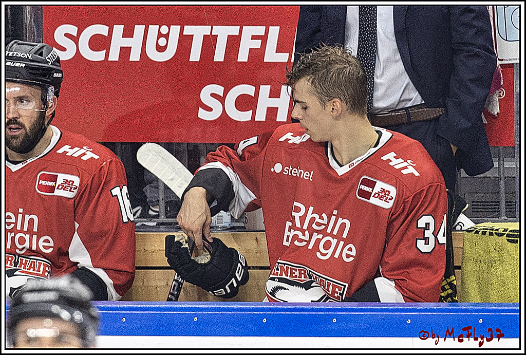 PENNY DEL 1. Koelner Haie - Augsburger Panther; Koeln, 03.10.2023