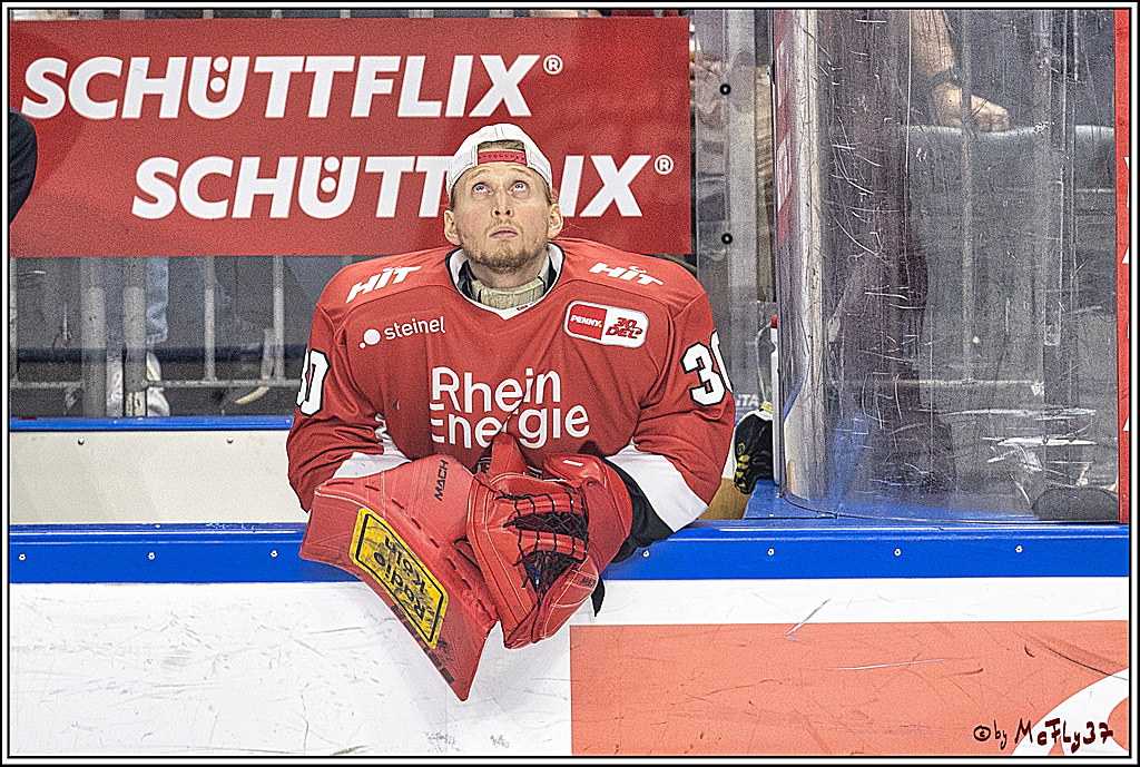 PENNY DEL 1. Koelner Haie - Augsburger Panther; Koeln, 03.10.2023