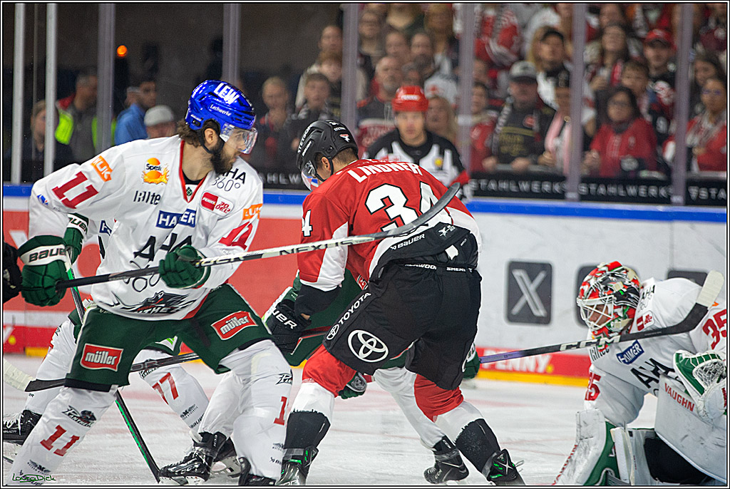 PENNY DEL; Koelner Haie- AEV Augsburg; Koeln, 03.10.2023