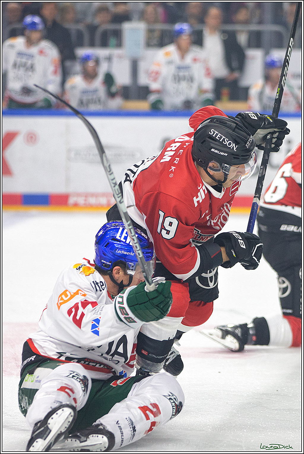 PENNY DEL; Koelner Haie- AEV Augsburg; Koeln, 03.10.2023