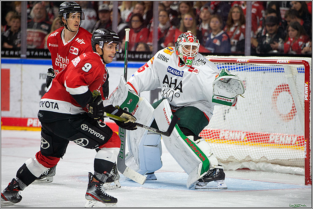 PENNY DEL; Koelner Haie- AEV Augsburg; Koeln, 03.10.2023