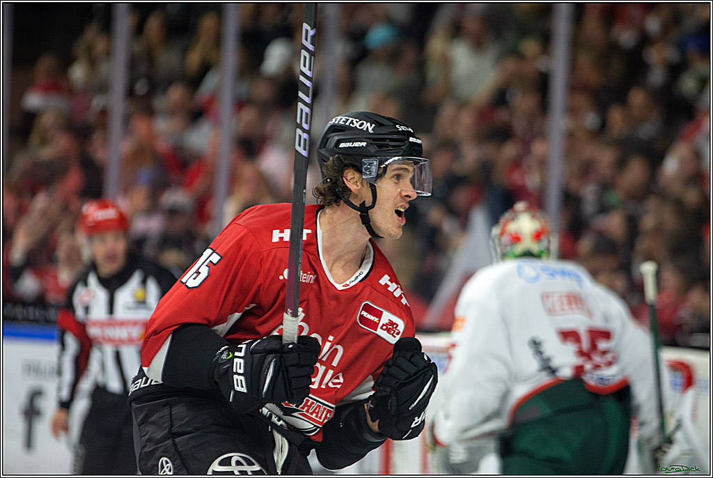 PENNY DEL; Koelner Haie- AEV Augsburg; Koeln, 03.10.2023