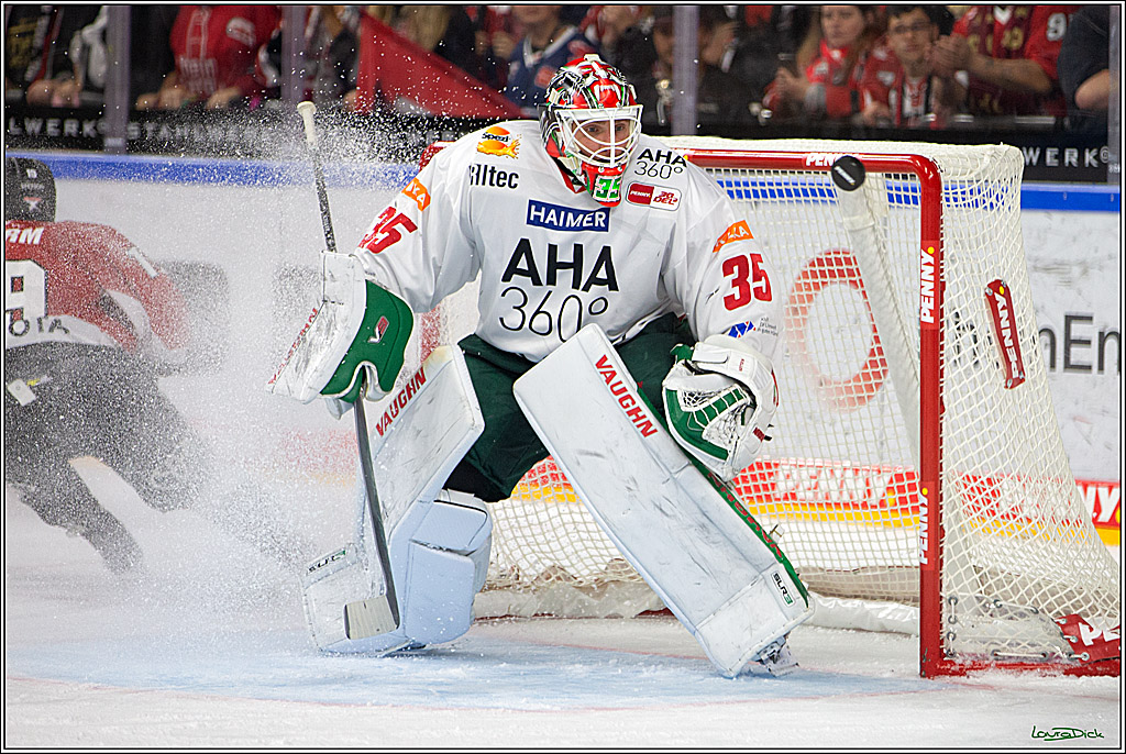 PENNY DEL; Koelner Haie- AEV Augsburg; Koeln, 03.10.2023
