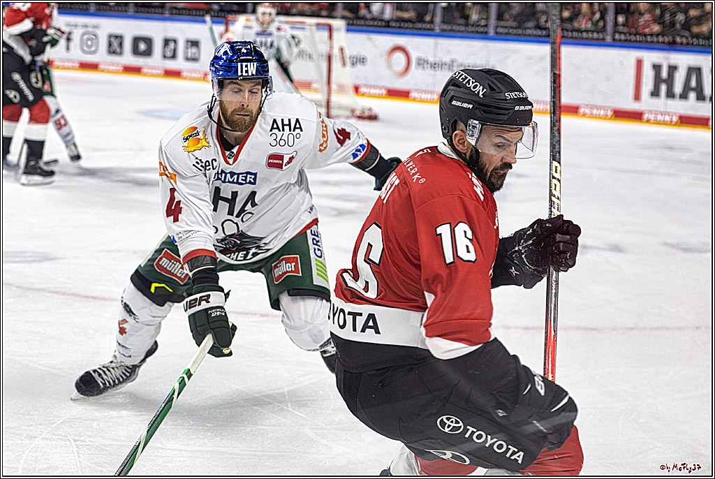 PENNY DEL 1. Koelner Haie - Augsburger Panther; Koeln, 03.10.2023