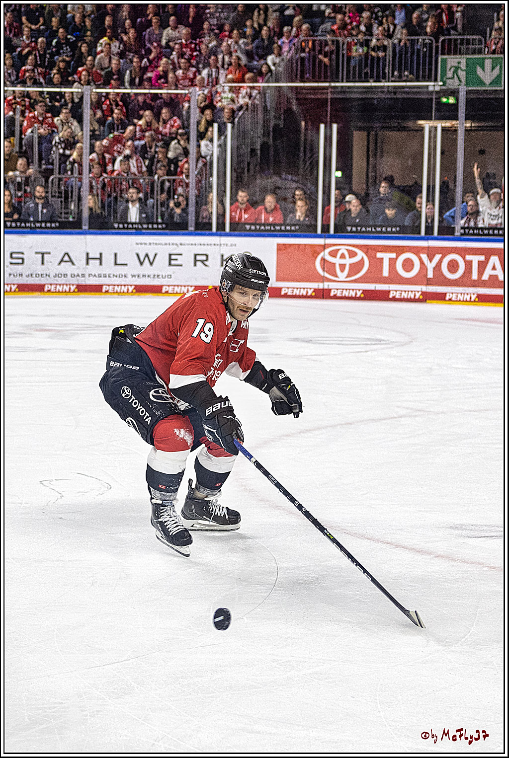 PENNY DEL 1. Koelner Haie - Augsburger Panther; Koeln, 03.10.2023