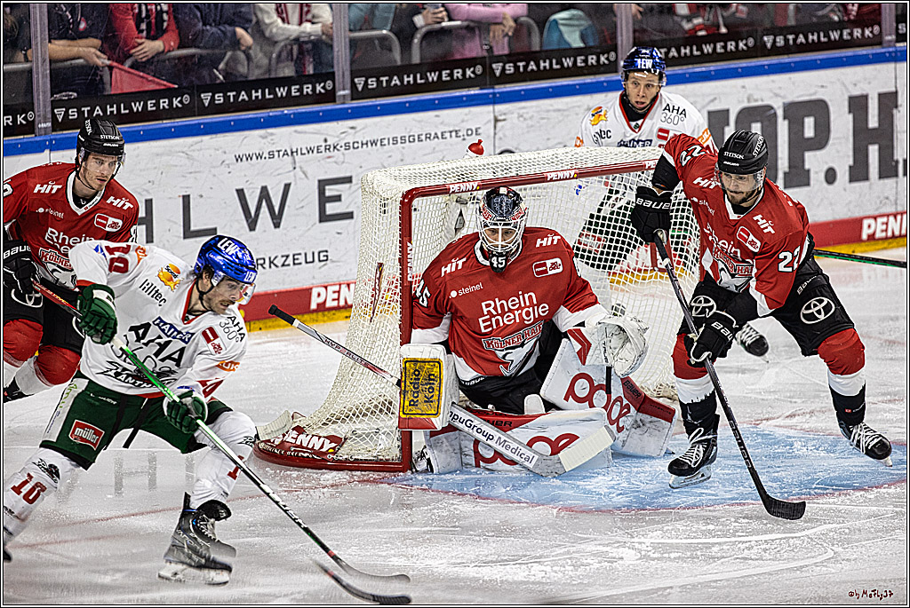 PENNY DEL 1. Koelner Haie - Augsburger Panther; Koeln, 19.11.2023