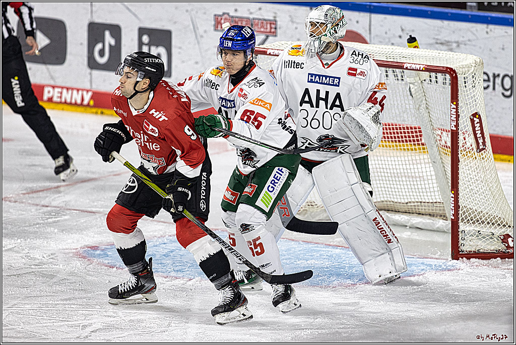 PENNY DEL 1. Koelner Haie - Augsburger Panther; Koeln, 19.11.2023