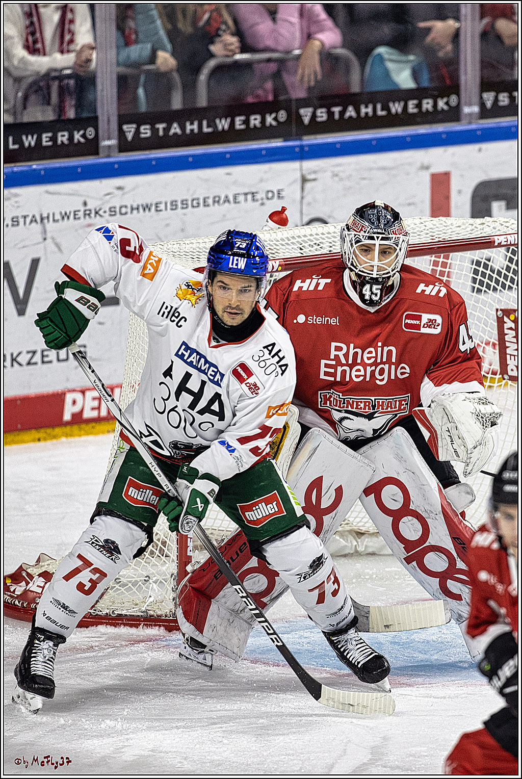 PENNY DEL 1. Koelner Haie - Augsburger Panther; Koeln, 19.11.2023