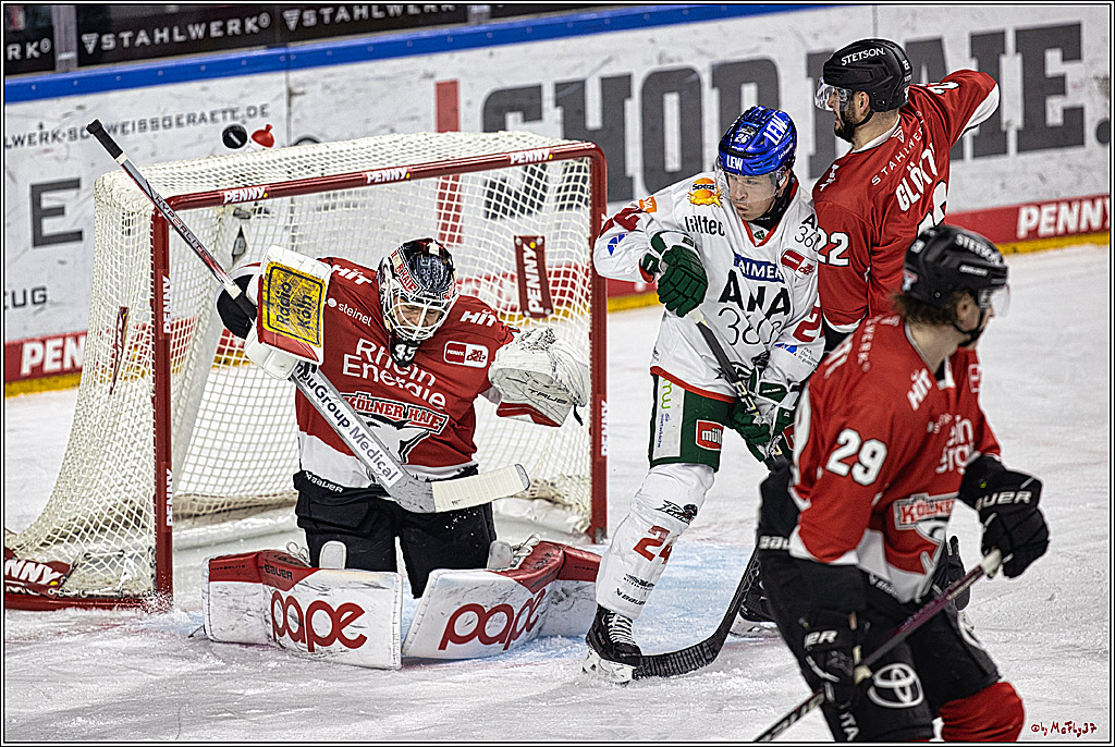 PENNY DEL 1. Koelner Haie - Augsburger Panther; Koeln, 19.11.2023