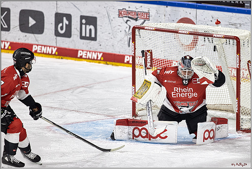 PENNY DEL 1. Koelner Haie - Augsburger Panther; Koeln, 19.11.2023