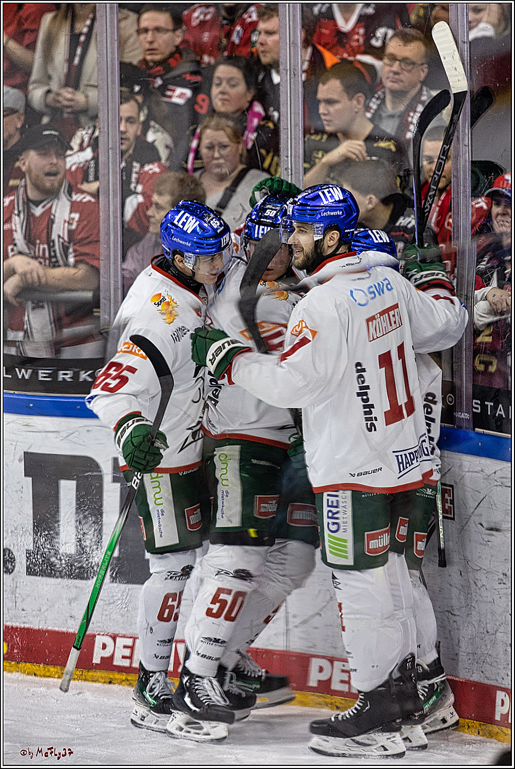 PENNY DEL 1. Koelner Haie - Augsburger Panther; Koeln, 19.11.2023