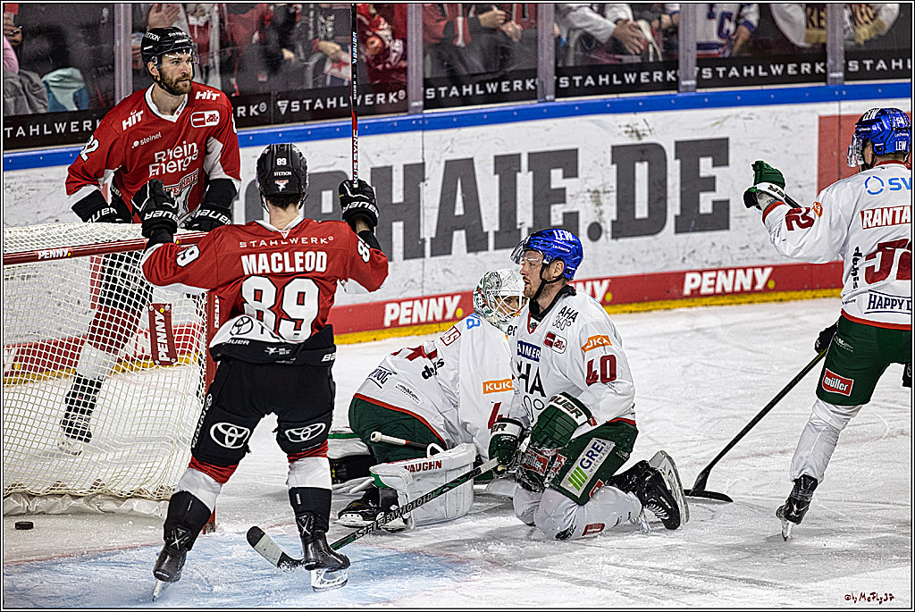 PENNY DEL 1. Koelner Haie - Augsburger Panther; Koeln, 19.11.2023