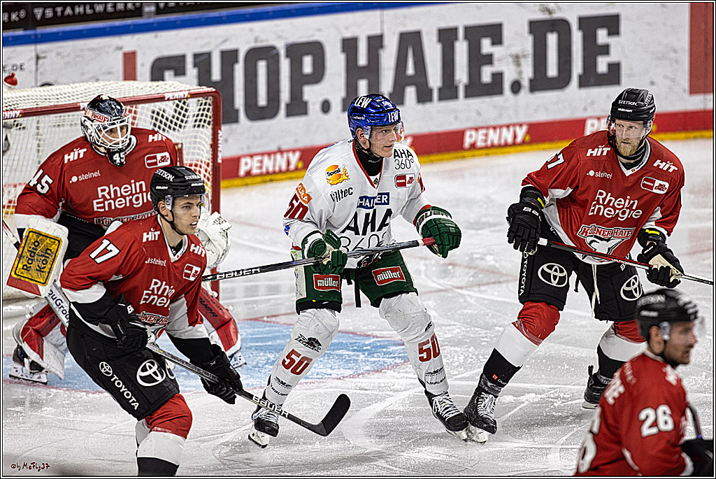 PENNY DEL 1. Koelner Haie - Augsburger Panther; Koeln, 19.11.2023