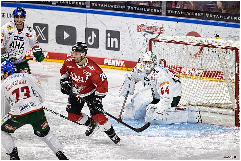 PENNY DEL 1. Koelner Haie - Augsburger Panther; Koeln, 19.11.2023