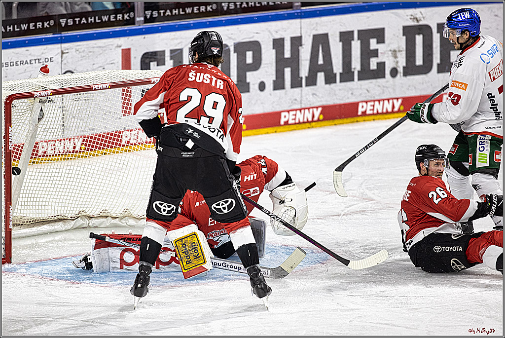 PENNY DEL 1. Koelner Haie - Augsburger Panther; Koeln, 19.11.2023