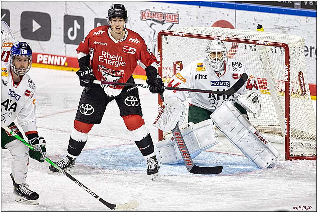 PENNY DEL 1. Koelner Haie - Augsburger Panther; Koeln, 19.11.2023