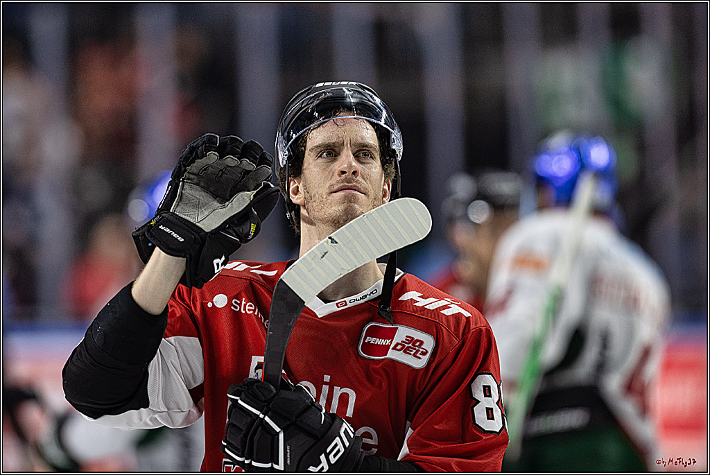 PENNY DEL 1. Koelner Haie - Augsburger Panther; Koeln, 19.11.2023