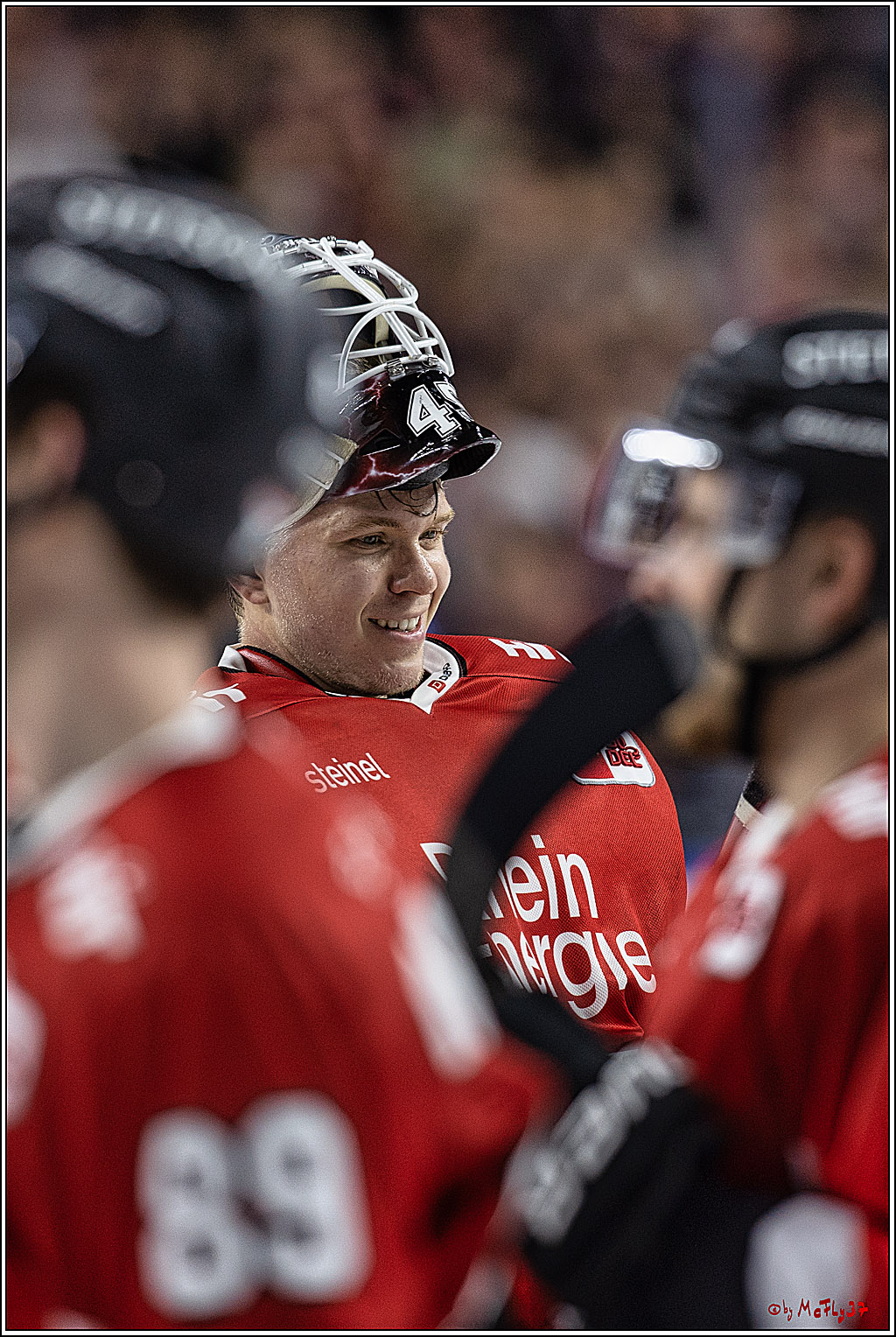 PENNY DEL 1. Koelner Haie - Augsburger Panther; Koeln, 19.11.2023