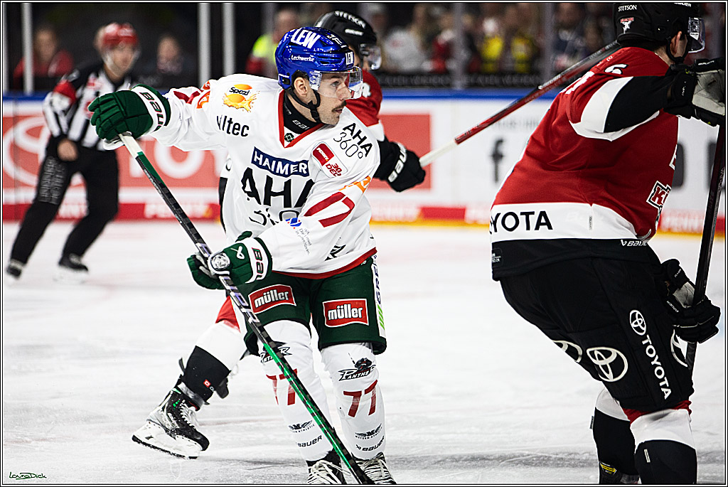 PENNY DEL; Koelner Haie-Augsburger Panthers; Koeln, 19.11.2023