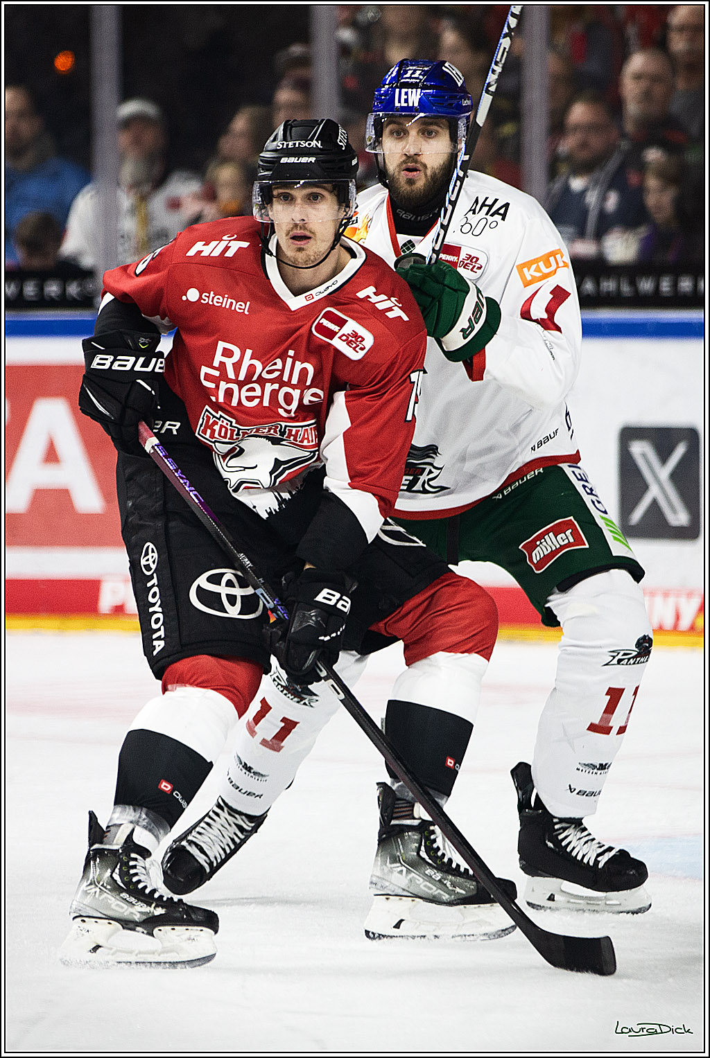 PENNY DEL; Koelner Haie-Augsburger Panthers; Koeln, 19.11.2023