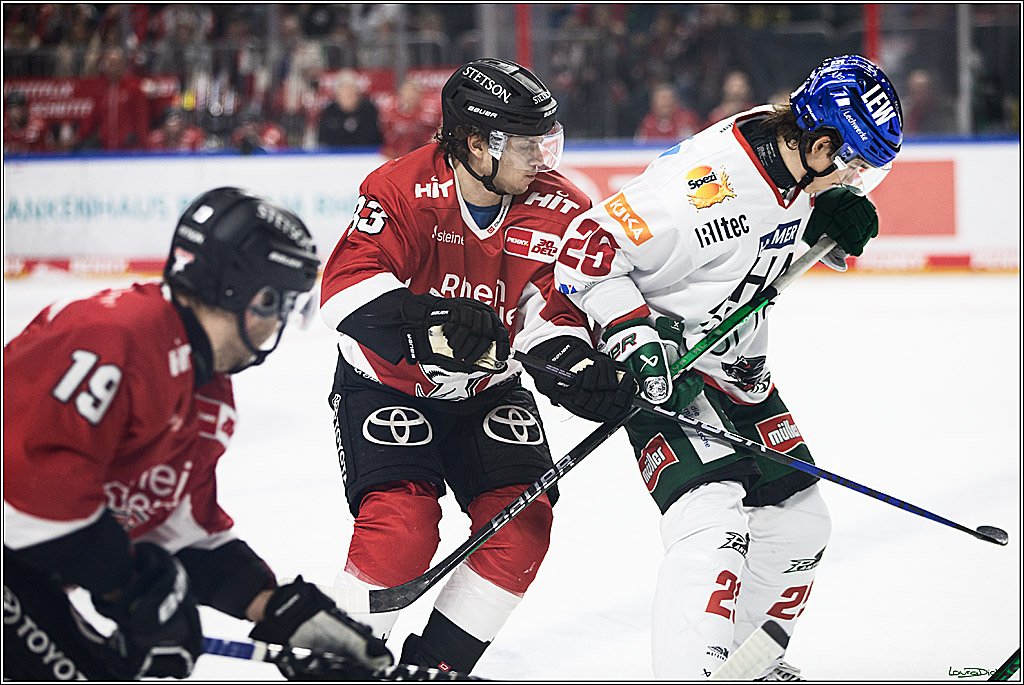 PENNY DEL; Koelner Haie-Augsburger Panthers; Koeln, 19.11.2023