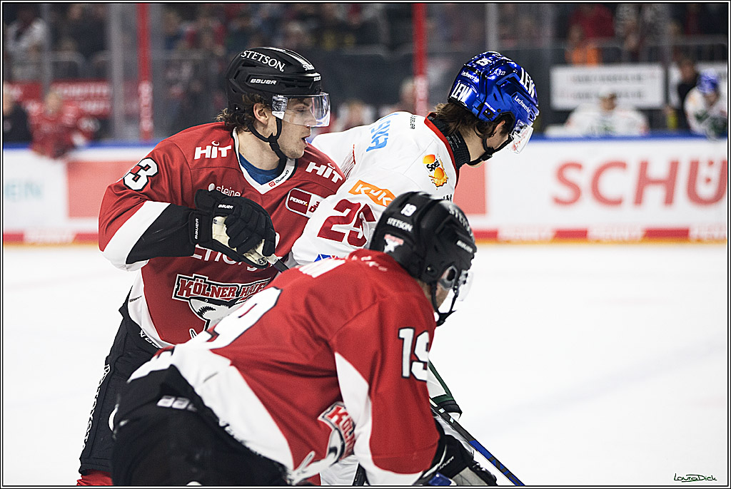 PENNY DEL; Koelner Haie-Augsburger Panthers; Koeln, 19.11.2023