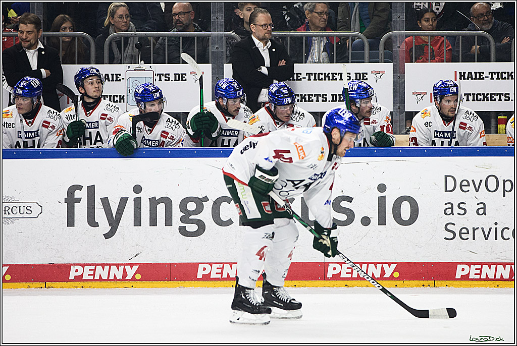 PENNY DEL; Koelner Haie-Augsburger Panthers; Koeln, 19.11.2023
