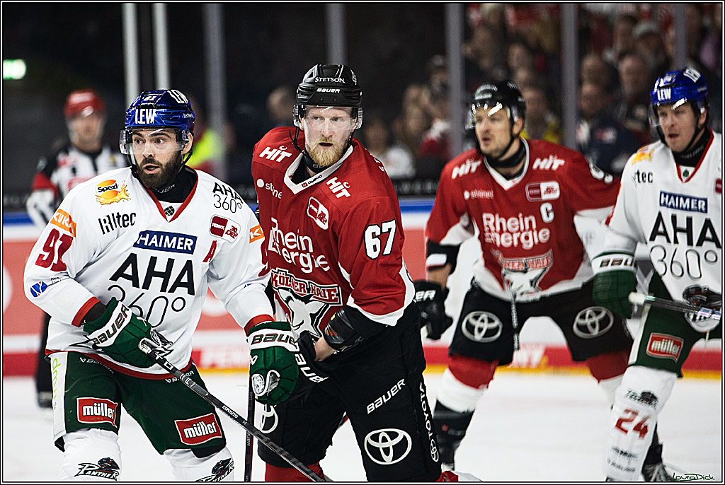 PENNY DEL; Koelner Haie-Augsburger Panthers; Koeln, 19.11.2023