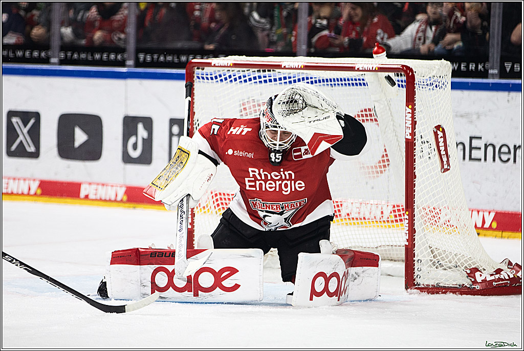 PENNY DEL; Koelner Haie-Augsburger Panthers; Koeln, 19.11.2023