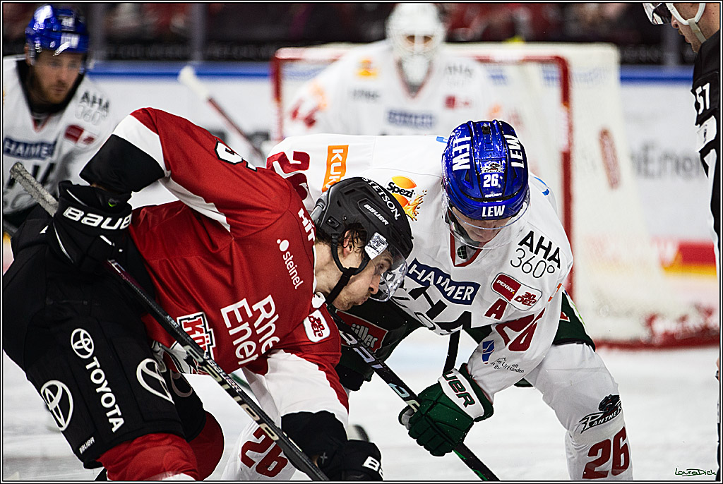 PENNY DEL; Koelner Haie-Augsburger Panthers; Koeln, 19.11.2023