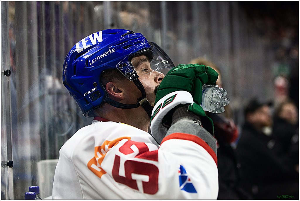 PENNY DEL; Koelner Haie-Augsburger Panthers; Koeln, 19.11.2023