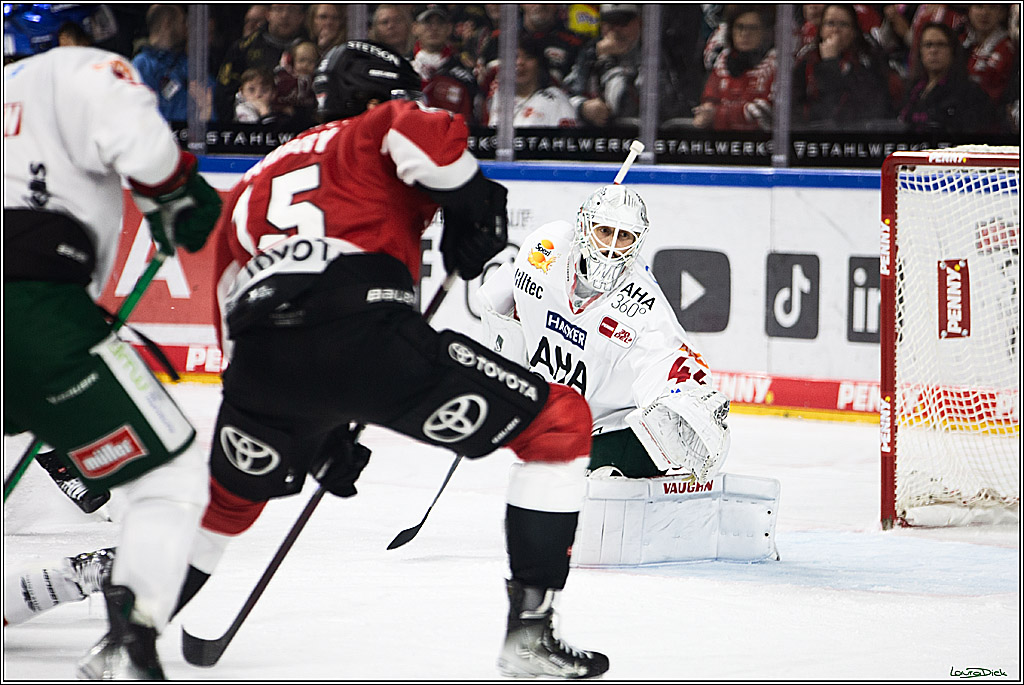 PENNY DEL; Koelner Haie-Augsburger Panthers; Koeln, 19.11.2023