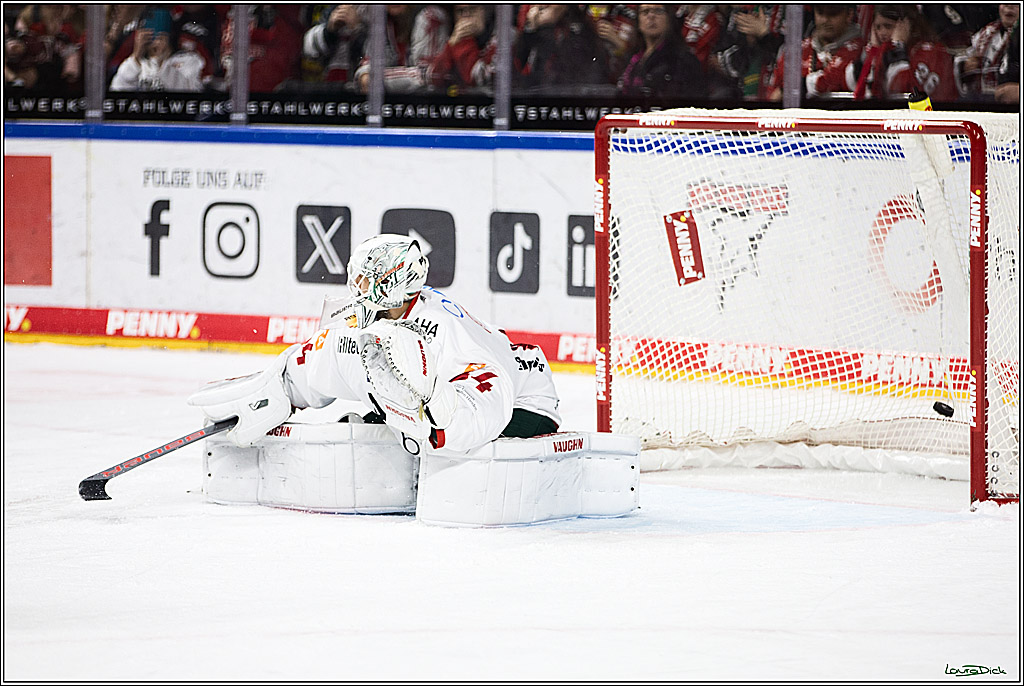PENNY DEL; Koelner Haie-Augsburger Panthers; Koeln, 19.11.2023