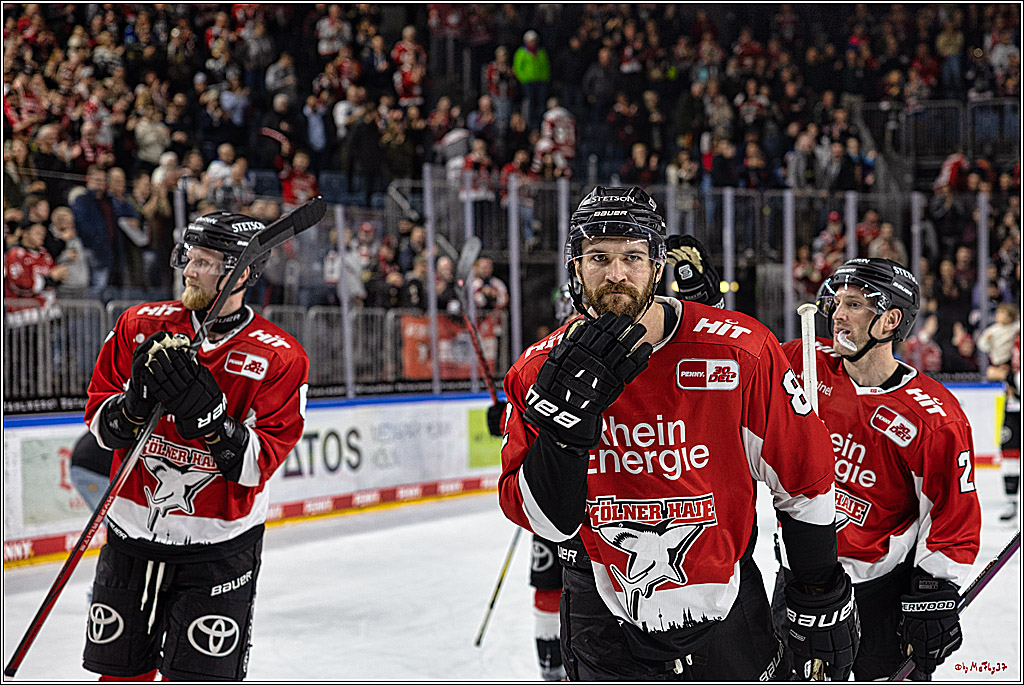 PENNY DEL 1. Koelner Haie - Augsburger Panther; Koeln, 19.11.2023