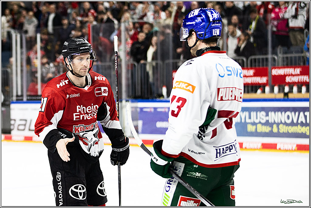 PENNY DEL; Koelner Haie-Augsburger Panthers; Koeln, 19.11.2023