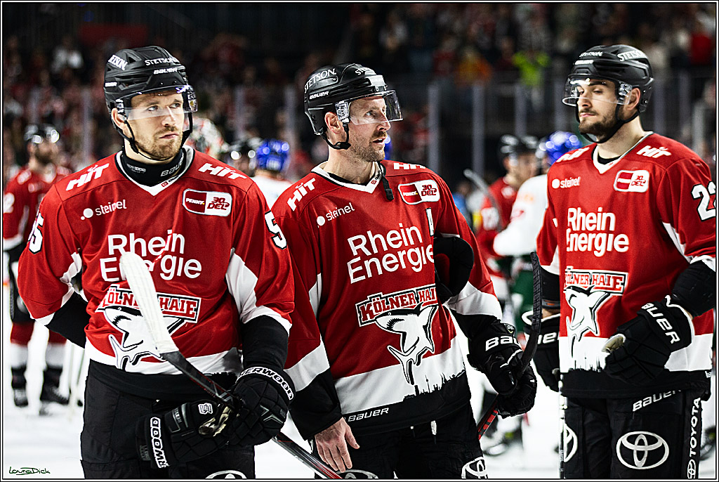PENNY DEL; Koelner Haie-Augsburger Panthers; Koeln, 19.11.2023