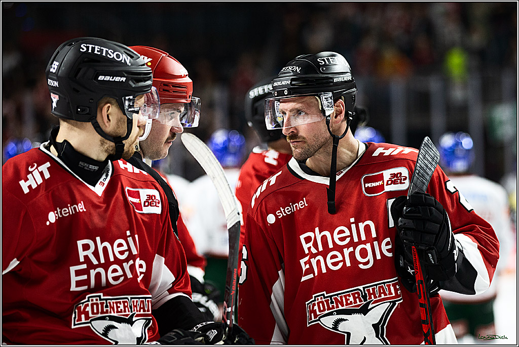 PENNY DEL; Koelner Haie-Augsburger Panthers; Koeln, 19.11.2023